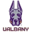 UAlbany