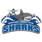Suffolk County Community College Logo