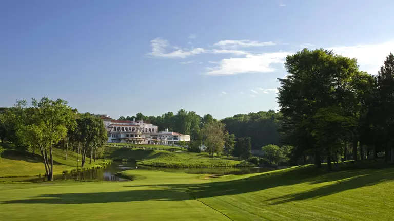 Whitehead Cards Opening-Round 77