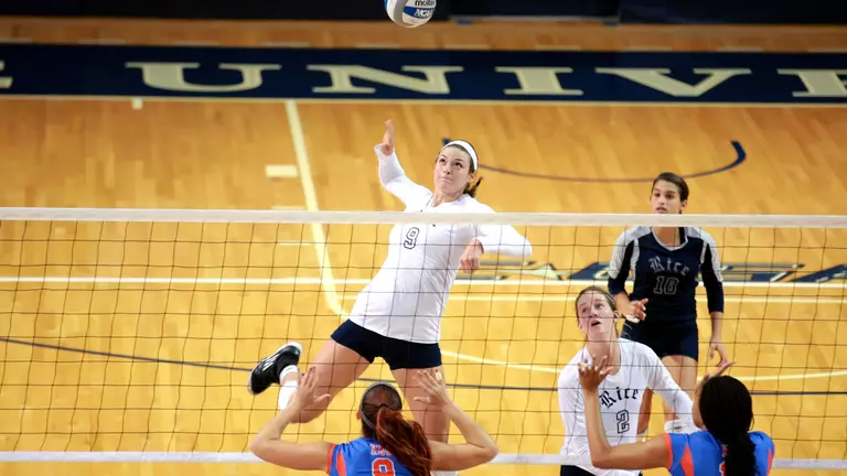 Mean Green Too Much For Owls