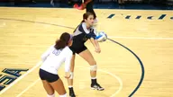 Sunshine Sweep: Owls Take Down Golden Panthers