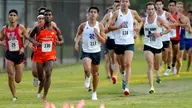 Men's Cross Country Places Third at C-USA Championships