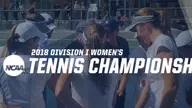 Owls Earn Seventh Consecutive NCAA Berth