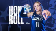 Volleyball's Darby Harris Named to AAC Honor Roll