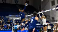 Ogunlana Named AVCA Southwest Region All-Region Honorable Mention