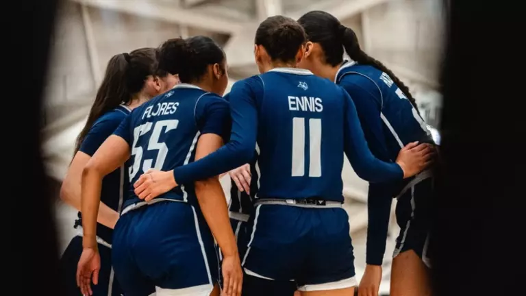 Owls Tripped Up Late by RV Princeton