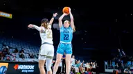 Owls Set for Exhibition with Mary Hardin-Baylor