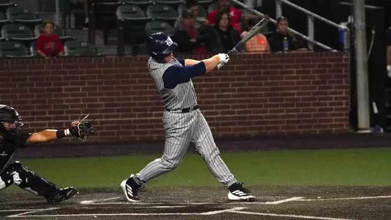 Owls Open Road Stretch by Downing Lamar