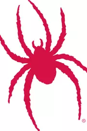 Red Spider