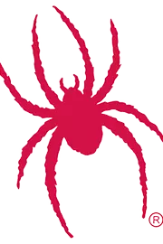 Spider Logo
