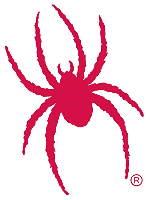 Spider Logo