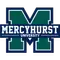 Mercyhurst logo