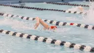 Swimming and Diving Fall On the Road to James Madison