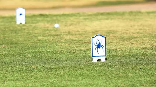 Spider golf tee markers on a tee box