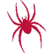 Richmond Spiders