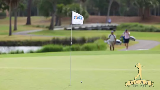 Men's Golf