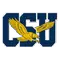 Coppin. State logo