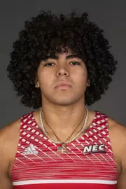 Kelvin Paulino-Acosta