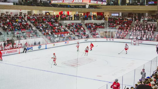 MIH Crowd Shot