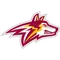Alvernia University Logo