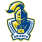 Neumann University Logo