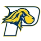 Pace University Logo