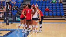 Citadel Sweep