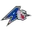 UNC Asheville Logo