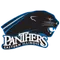 Eastern Illinois University Logo