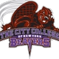 CCNY logo