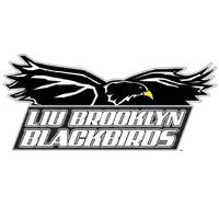 LIU Brooklyn