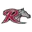Rider Logo