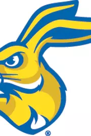 Rabbit head