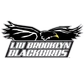 LIU Brooklyn Logo