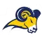 Texas Wesleyan University Logo