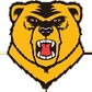 Western New England University Logo