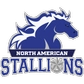 North American University Logo