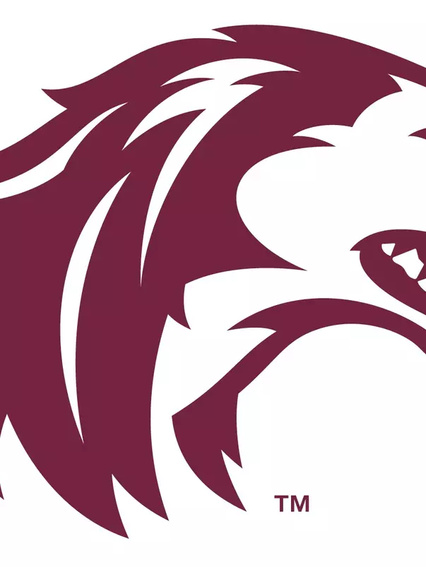 SIU logo