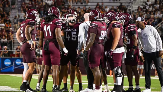 Salukis