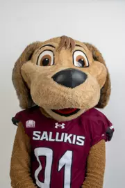 Brown Dawg
