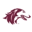 Southern Illinois University