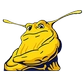 University of California, Santa Cruz Logo