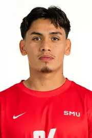 Luis Flores