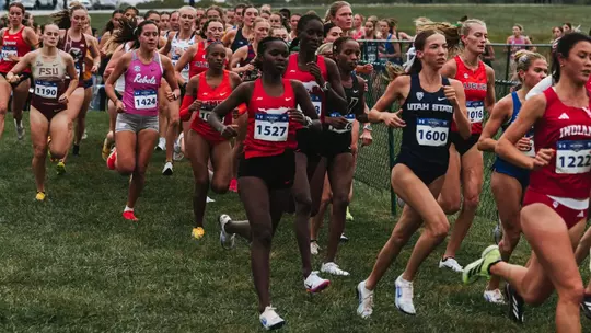 XC