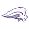 Nelson University (TX) Logo