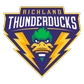 Dallas College Richland Logo