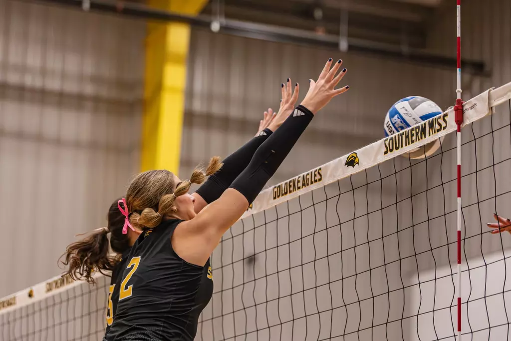 Volleyball at the net