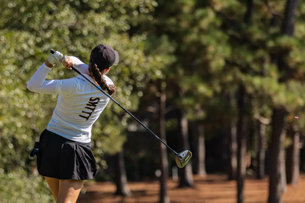 WGolf tee shot