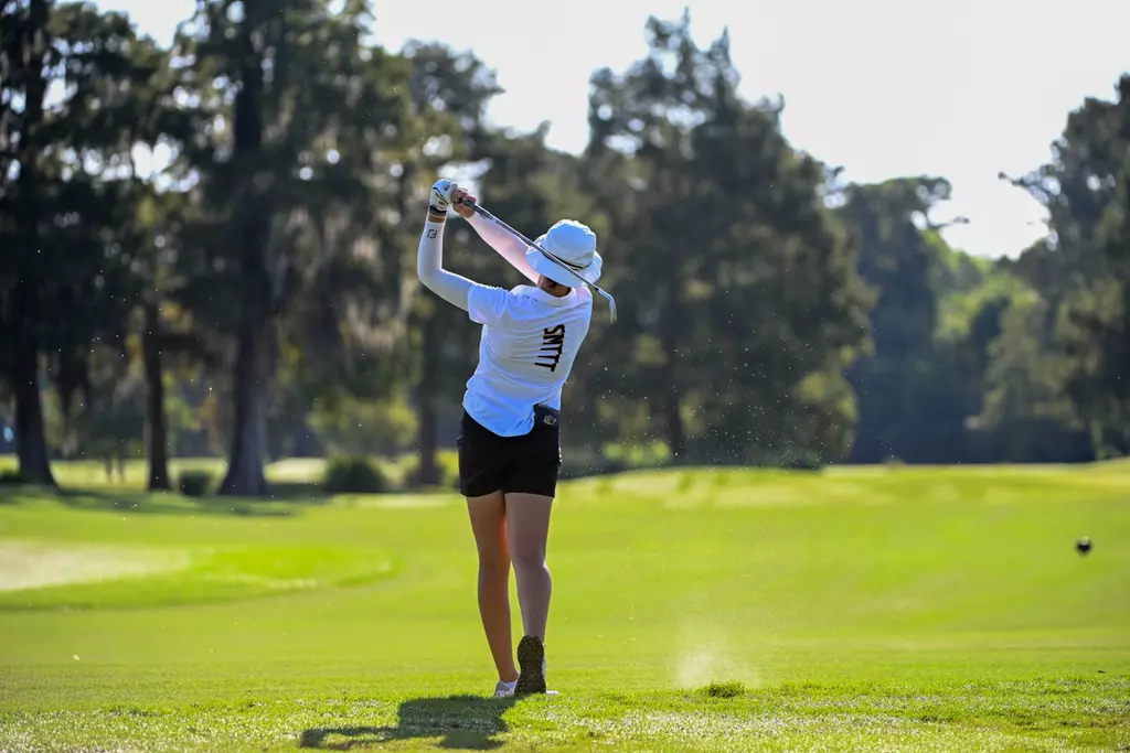WGolf fairway shot