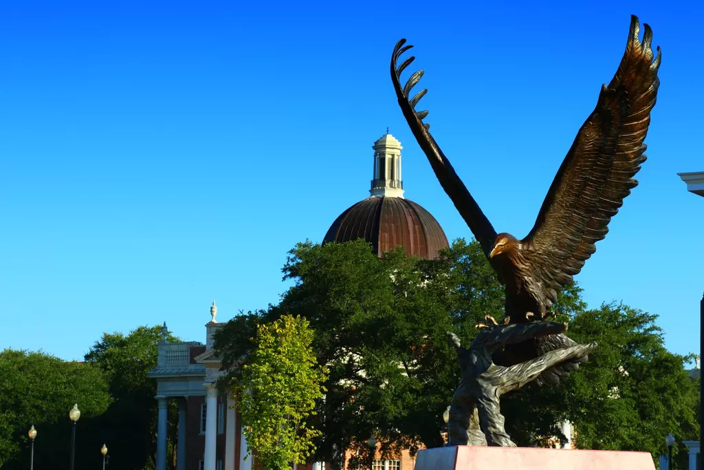 Lofty Eagle